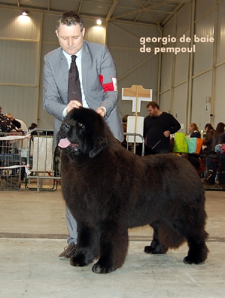 Georgio De la baie de pempoul