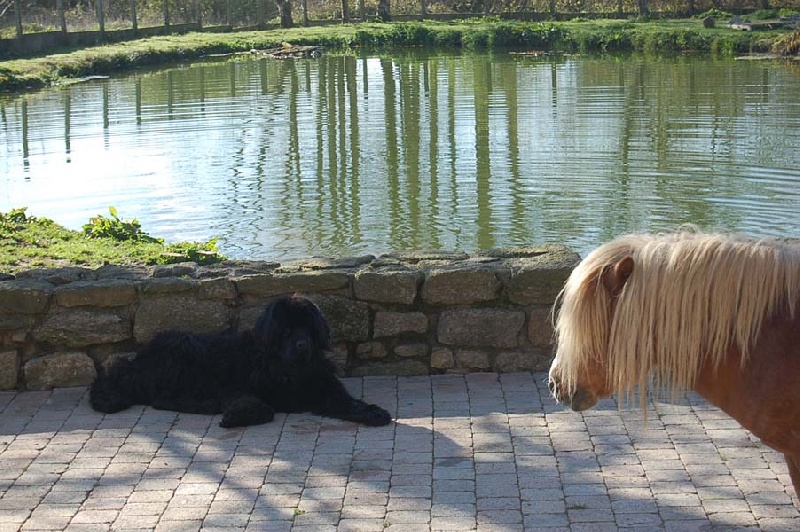 Thora De la baie de pempoul