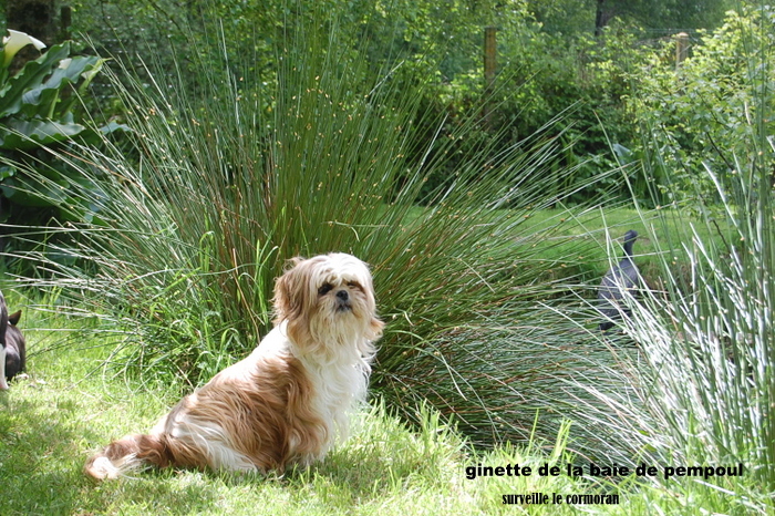 Ginette De la baie de pempoul
