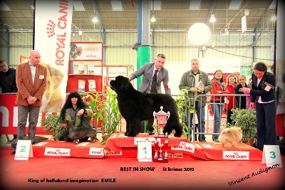 De la baie de pempoul - BEST IN SHOW A SAINT BRIEUC 2013