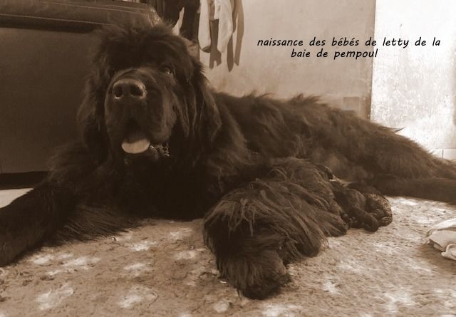 23/10/2019 letty *logan 
