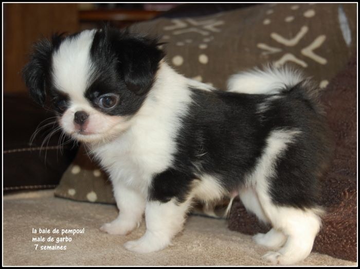 bébés de garbo11/14